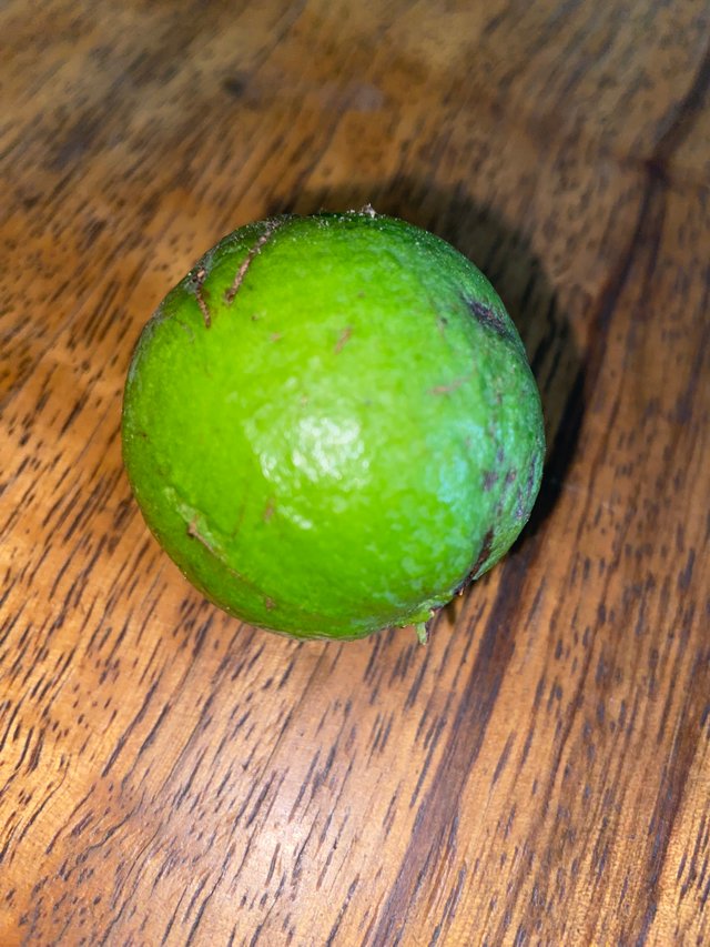 IMG_5344.jpeg