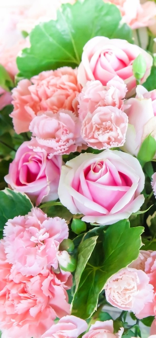 000001177961080_Bouquet of roses in sweet pastel color Wallpaper.jpg