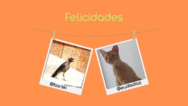 Concurso fotográfico (53).jpg