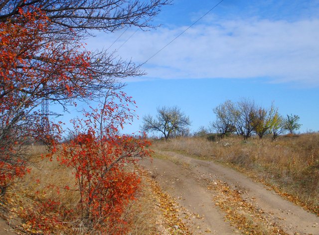 DSC03367.JPG