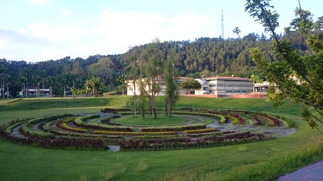 Jardín_Cromovegetal_de_la_Universidad_Simón_Bolívar_01.jpg