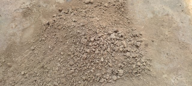 IMG_20250822_095939.jpg