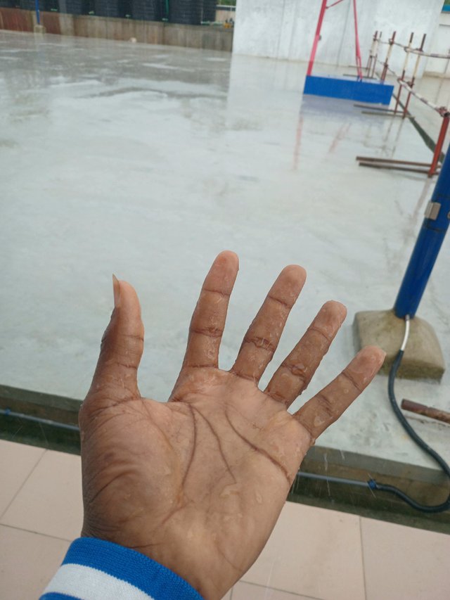 1000888855.jpg