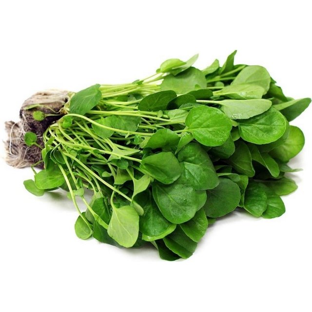 watercress-seed-medicinal-plant.jpg