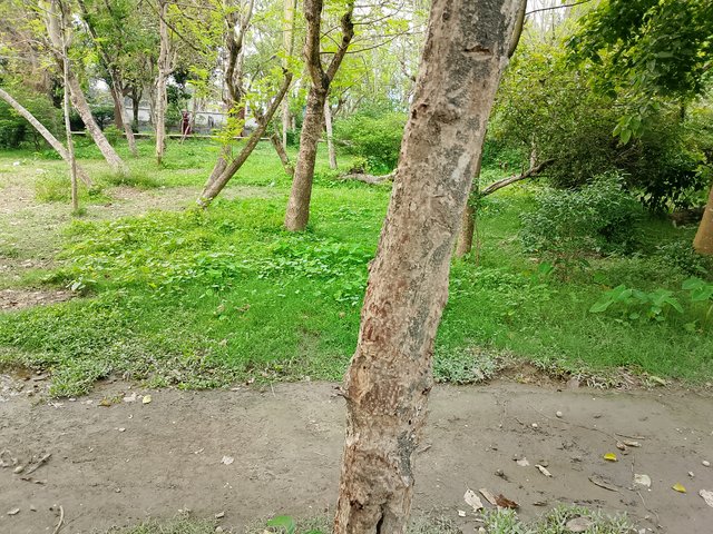 1000038231.jpg