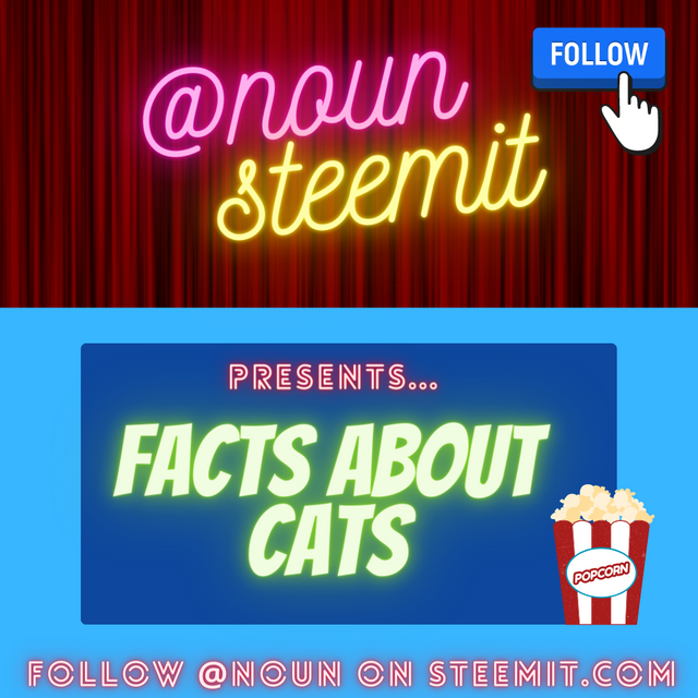 Facts about cats.png