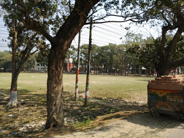 IMG_20250226_111421_029.jpg