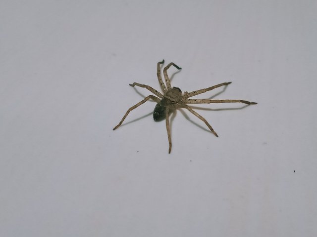 IMG20250329040919.jpg