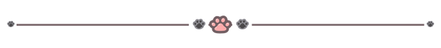 Paw cat zahra 2.png