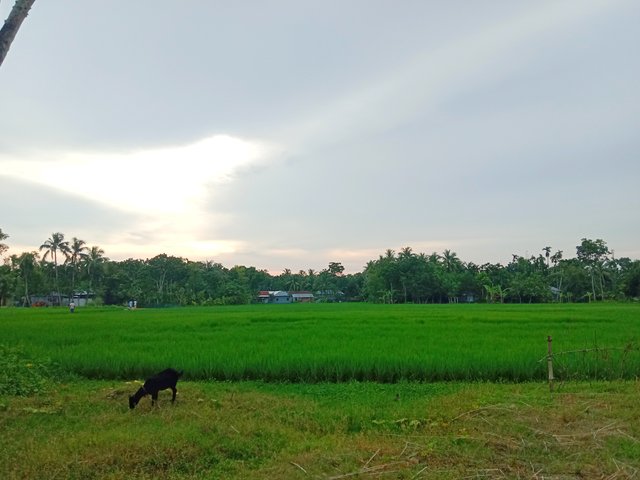 IMG_20250908_173317.jpg