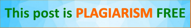 plag.png
