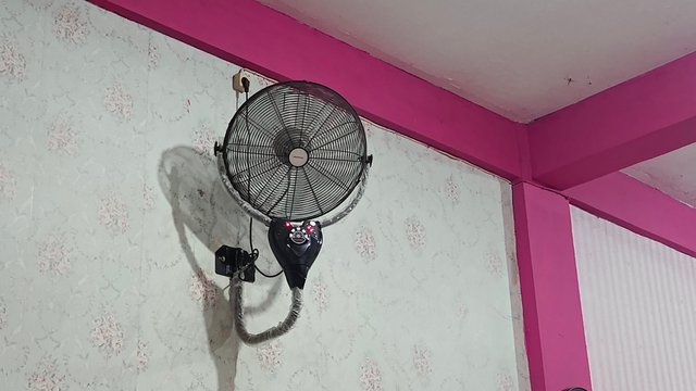 1000076141.jpg