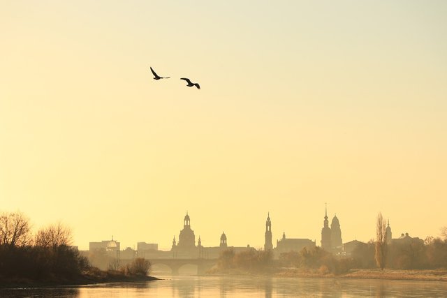 dresden-7122254_1280.jpg