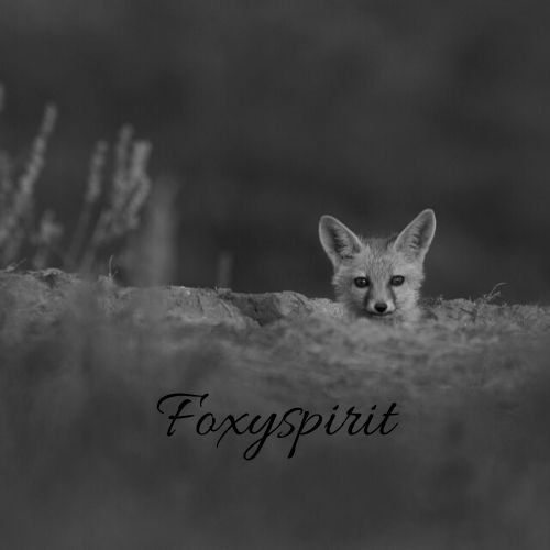 Foxyspirit.jpg