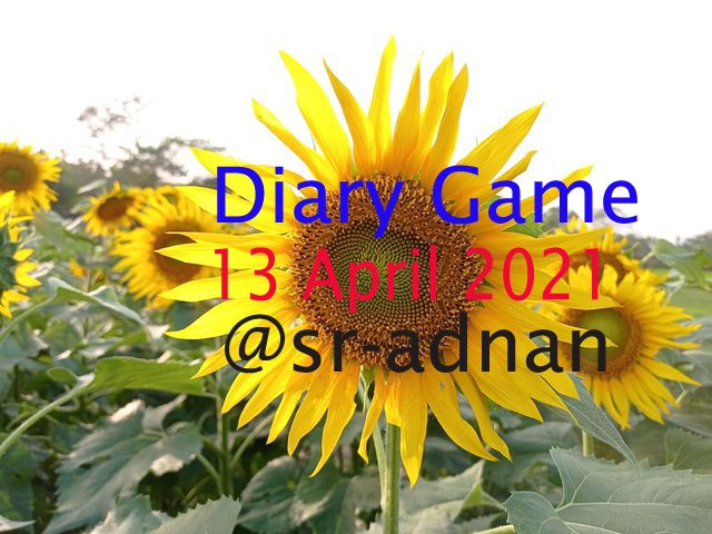 diary_game.jpg