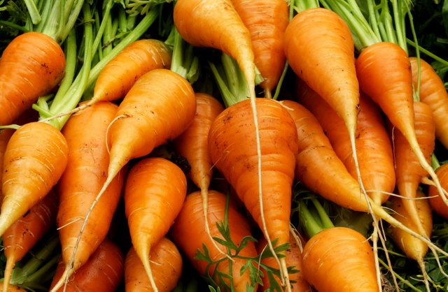 x043-Carrots.jpg
