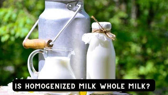 Is Homogenized Milk Whole Milk .jpg