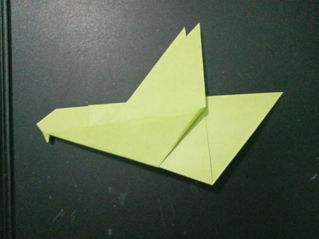 1000029179.jpg