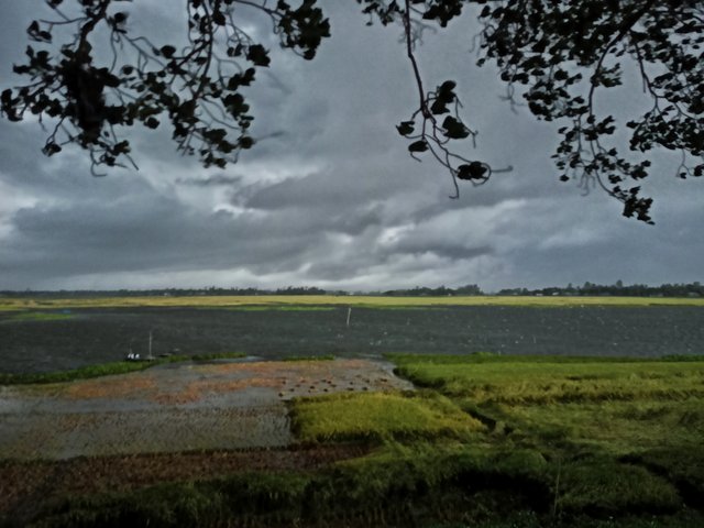 IMG20220513180519_00-01.jpeg