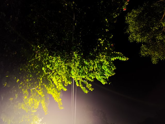 1723542706786 (1).jpg