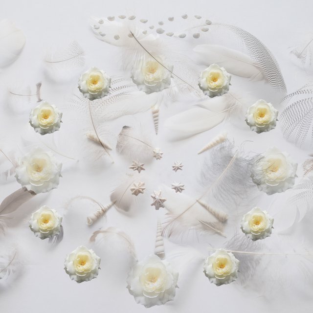 feathers.roses.shells.jpg