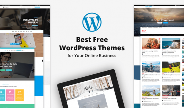 15-best-free-wordpress-themes-for-your-online-business-800x470.jpg