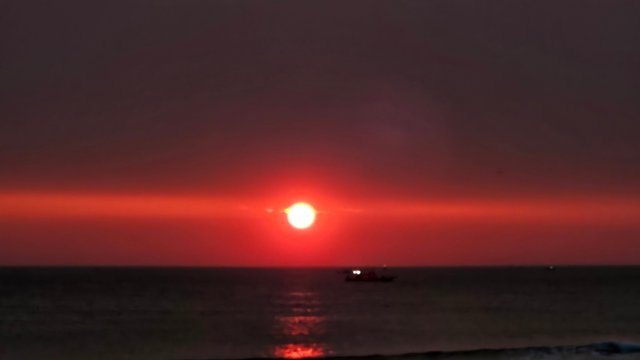 20250416_055641.jpg