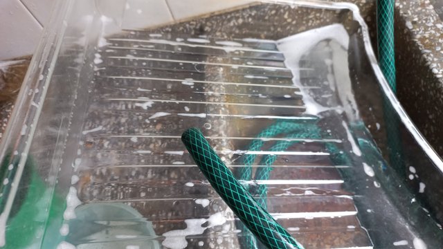 20220529_122915.jpg