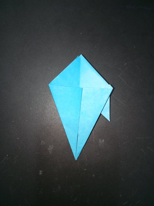 1000029910.jpg