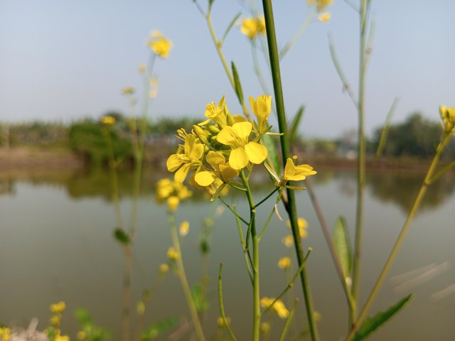 IMG_20240113_133852_049.jpg