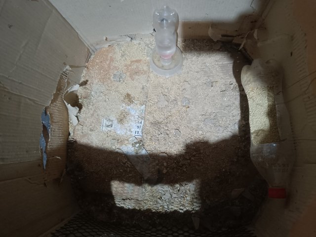 IMG20250525101834.jpg