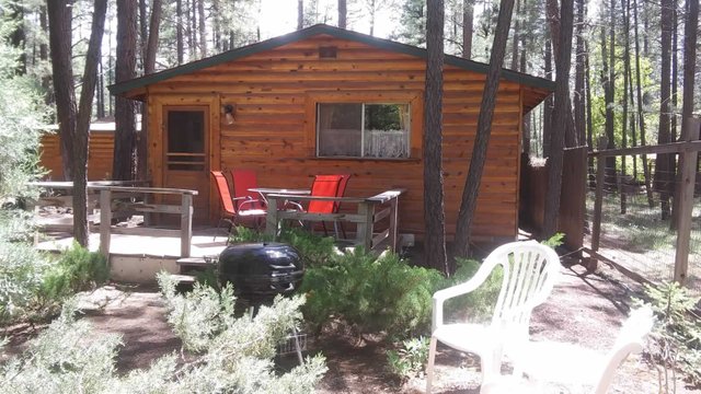 Cabin Wee Like It 500sf Studio Perfect for 2 Spring Hill Cabins Rainbow Lake Arziona.jpg