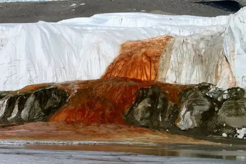 Blood-Falls-in-Antarctica.webp