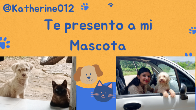 Te presento a mi Mascota_20250214_101535_0000.png