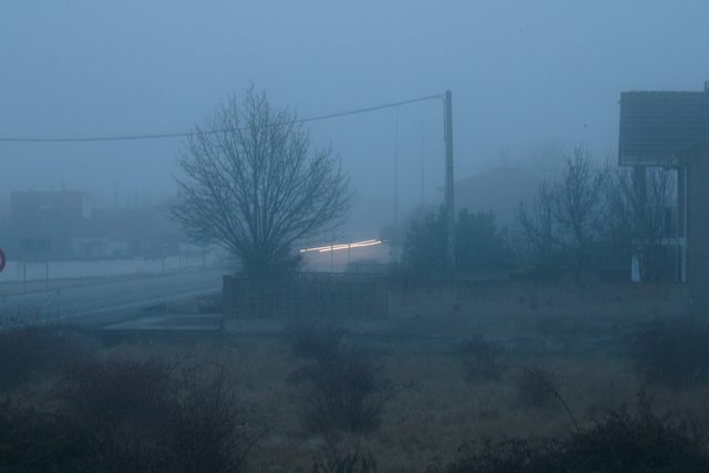 Niebla_01_MarcosDK.jpg