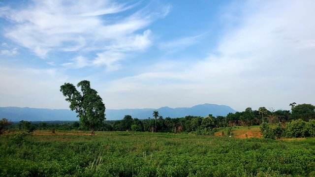 20250609_171001.jpg