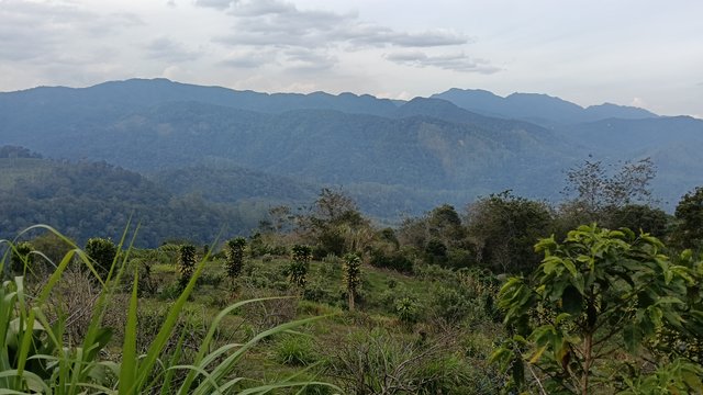 IMG20250727162841.jpg