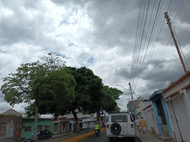 20250422_112448.jpg