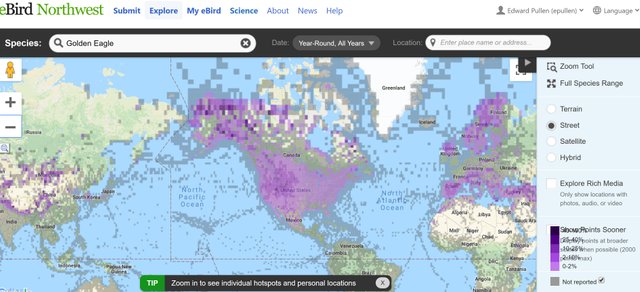 Golden Eagle Range on eBird.JPG