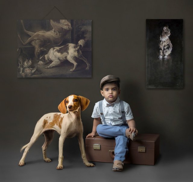 dog-3122494_1280.jpg