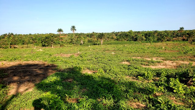 20250608_170326.jpg