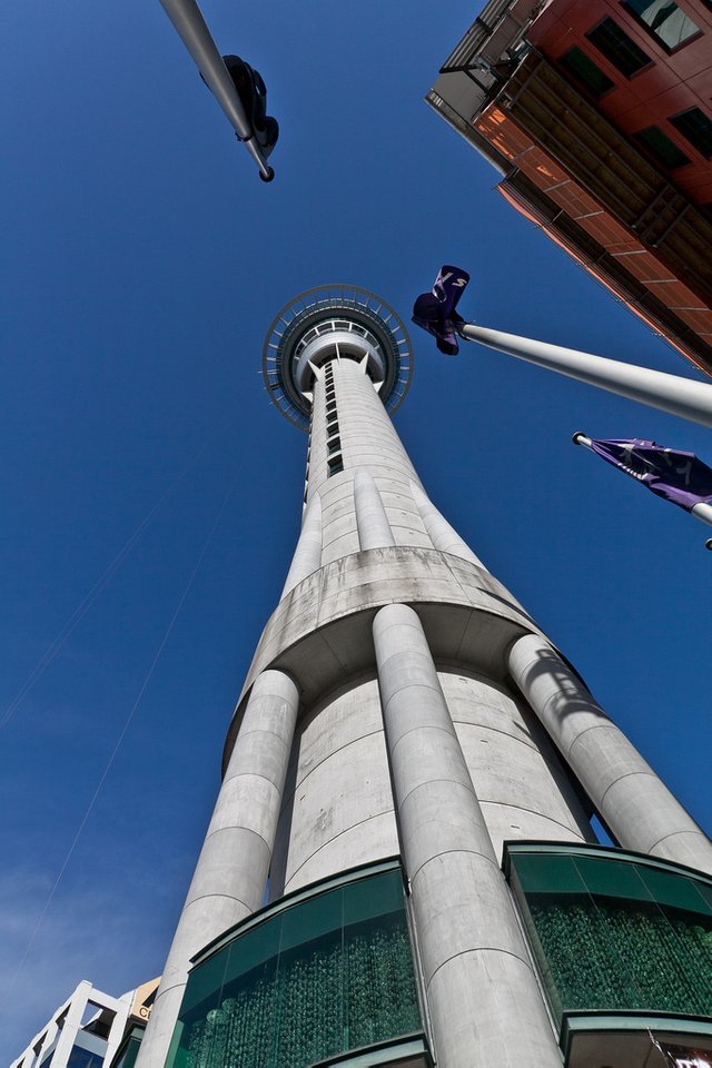 6077317494-sky-tower (FILEminimizer).jpg