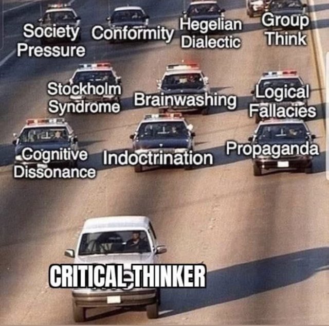 critical-thinker.jpg