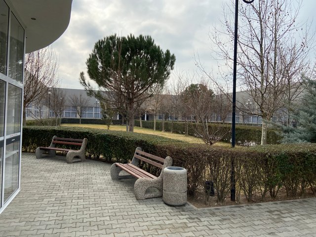 IMG0923.JPG