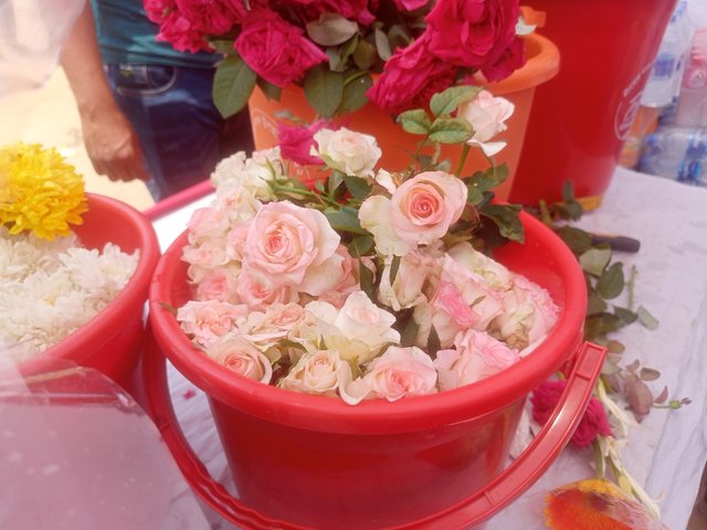 IMG20250414110329.jpg