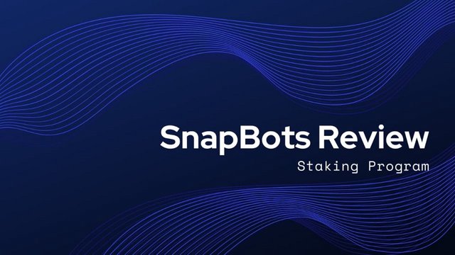 snapbots review.jpeg