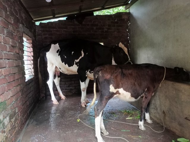 IMG20250614174627.jpg