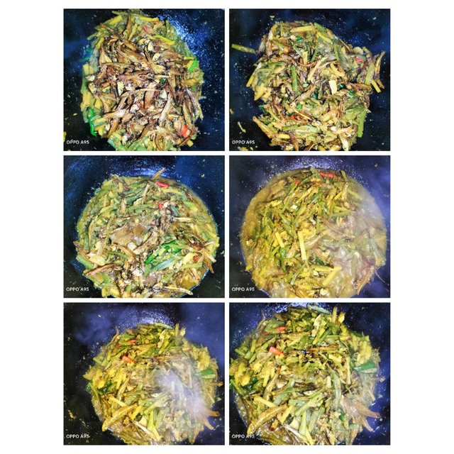PhotoCollage_1746189093618.jpg