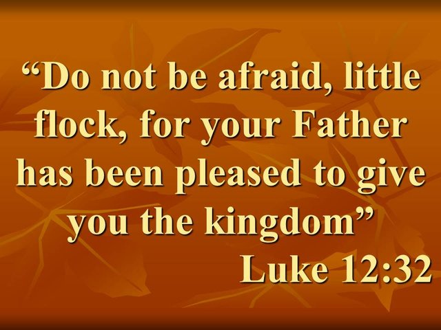 Jesus and the providence. Do not be afraid, little flock, for your Father has been pleased to give you the kingdom. Luke 12,32.jpg