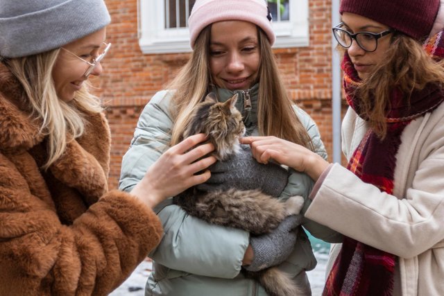 close-up-friends-with-cute-cat.jpg